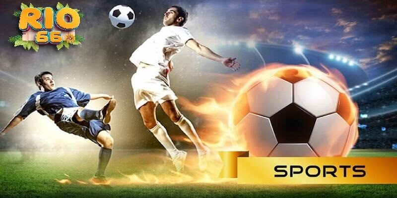 Sảnh game thể thao với đa dạng các thể loại